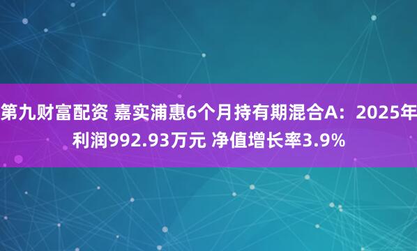 第九财富配资 嘉实浦惠6个月持有期混合A：2025年利润992.93万元 净值增长率3.9%